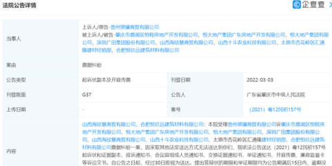 贵州骐骥商贸状告恒大地产等,案由系票据纠纷